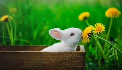 通辽伴游，定制QQ：3494206190微信：act1322